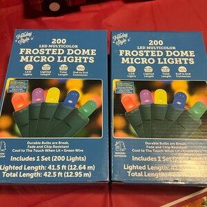 Multicolor Frosted Dome Micro Lights